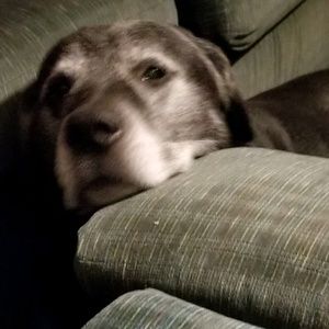 Meet your Posher, Cami